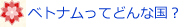 ベトナムってどんな国