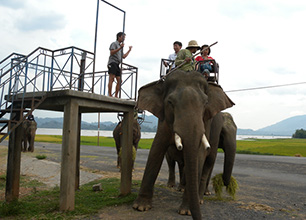 pic_about_vietnam05