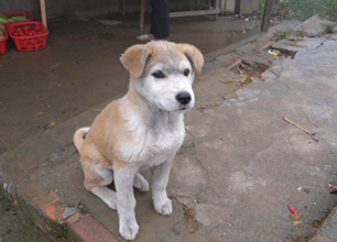 pic_about_vietnam08