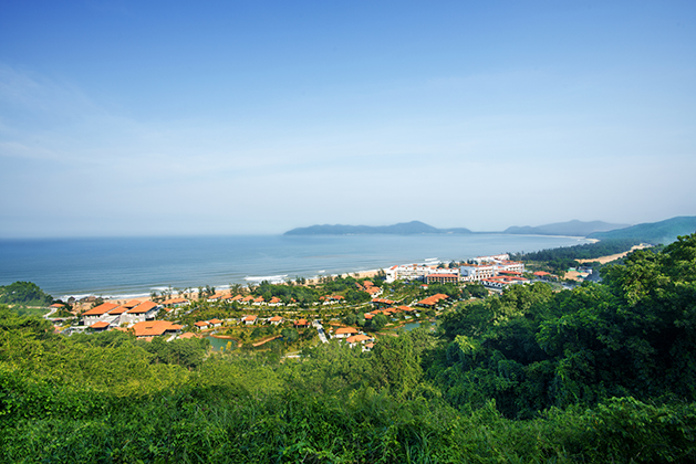 52131696-h1-anvnlc_sn_0213_misc_overview