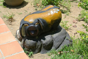 new_photo11