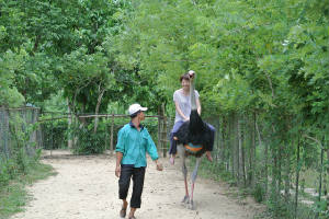 new_photo13