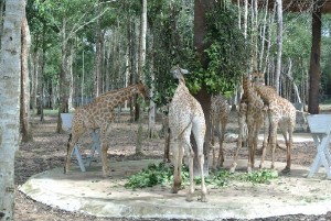 new_photo7