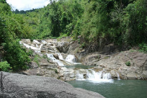 new_photo7