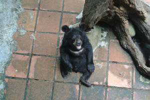 new_photo9