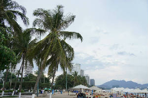 new_image4
