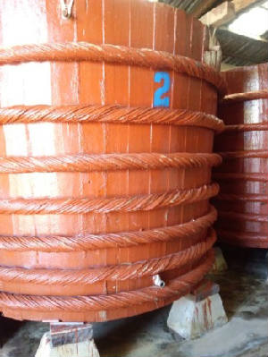 new_image5