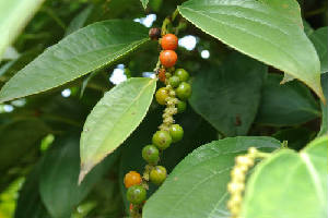 new_new_photo1