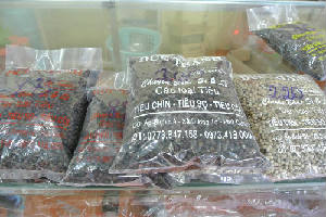 new_new_photo4